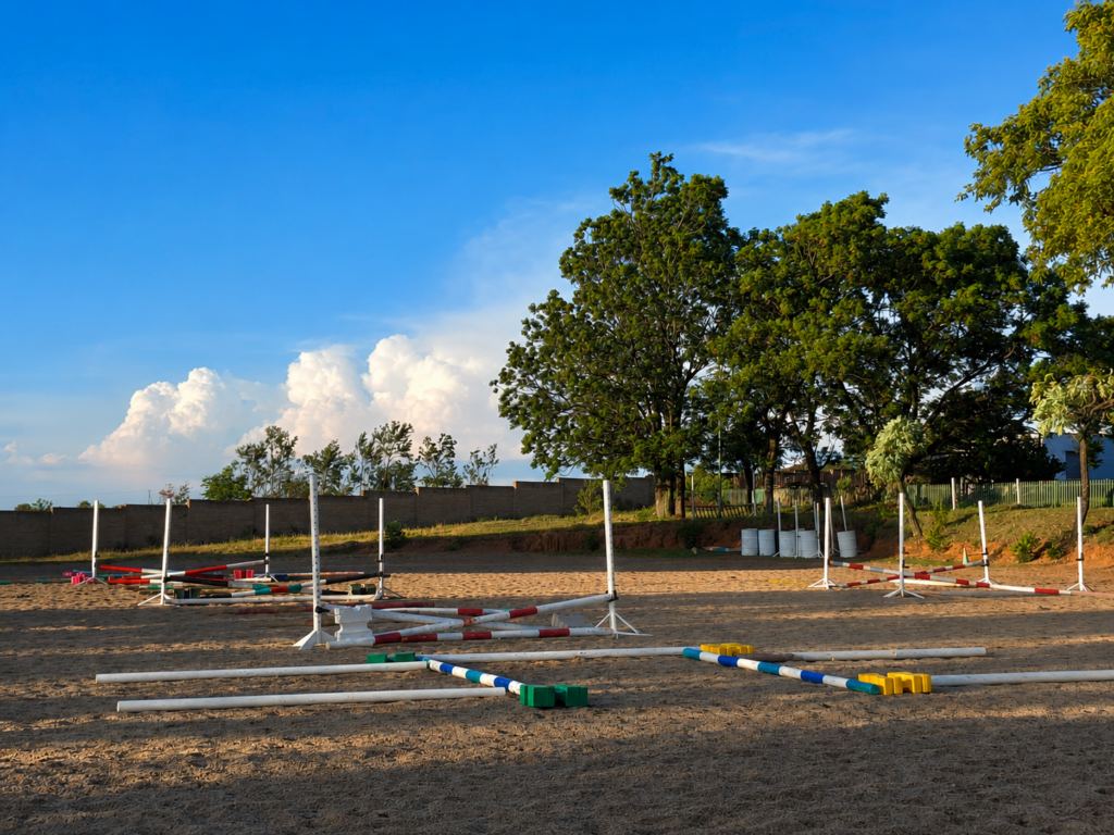 Horse and rider in the arena
