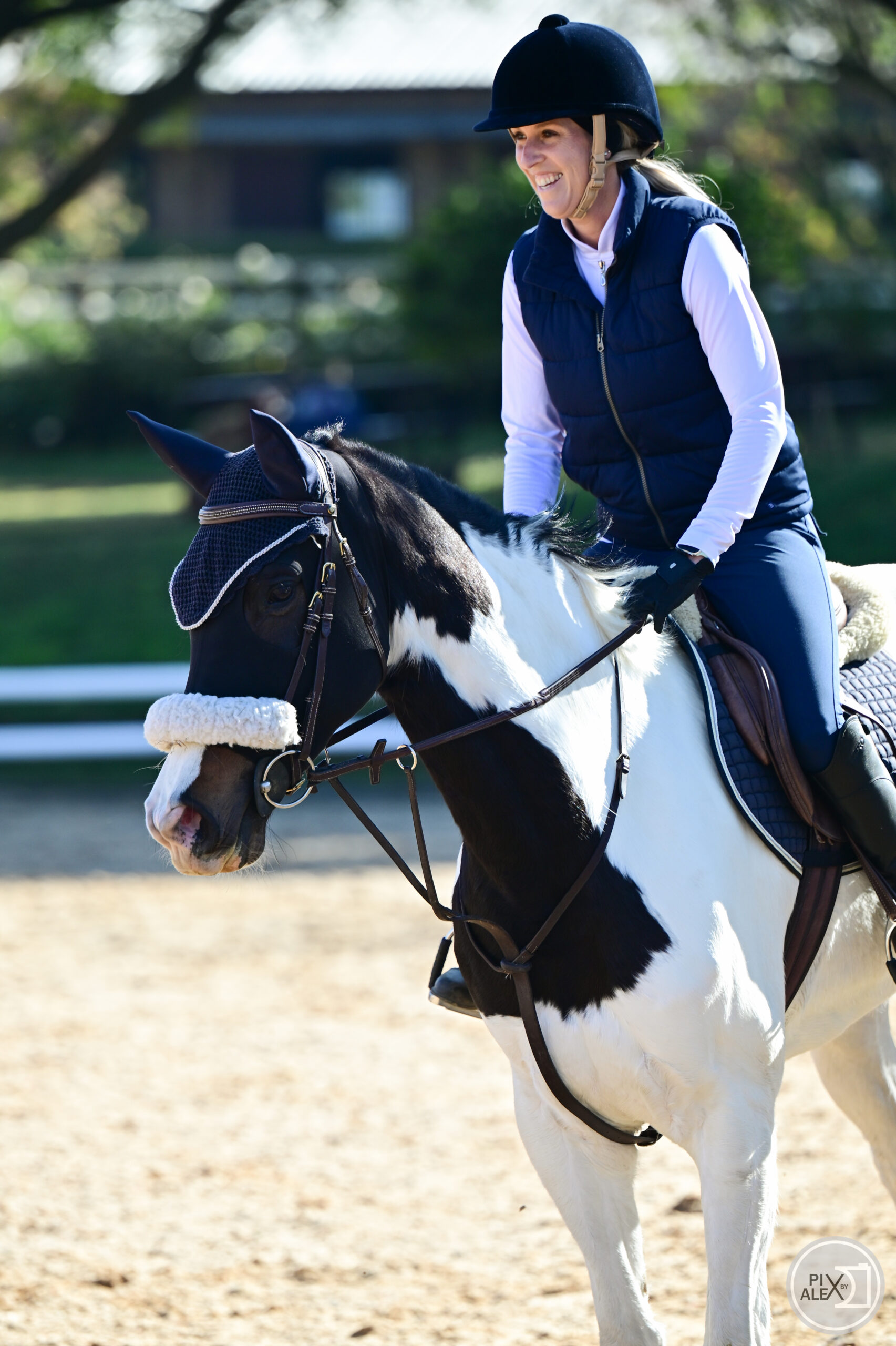 Equestrian at Chestnut Stables